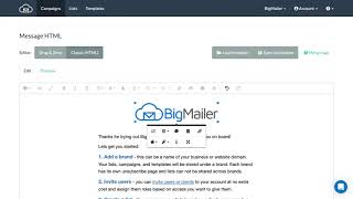 Add ALT text for an image in BigMailer Classic editor