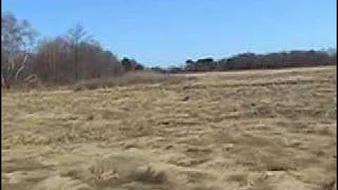 Beechwood Knoll School Building Project on Black's Creek