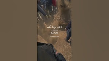 كل نفس ذائقة الموت | بصوت عبد الرحمن مسعد | سورة العنكبوت | Every Soul Shall Taste Death 😔💔