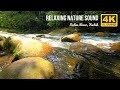 Nature Sounds River &amp; Forest | Relaxation Sound