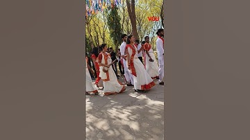 Vivekananda global University Jaipur #university #college #students #jaipur #vgu #vit #enjoy #shorts