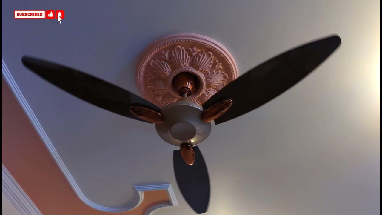 Usha Bloom Daffodil Goodbye Dust Ceiling Fan Sparkle Golden and Brown Installation & Review