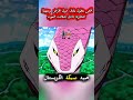 أفعى بطول يلتف حول الأرض ومهمة انتحارية داخل شلالات ملخصات افلام انمي اكسبلور  