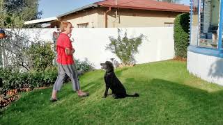 Differences between a Stay and a Wait