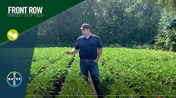 The Front Row: Measure and Manage Glyphosate Resistant Waterhemp with XtendFlex® Soybeans
