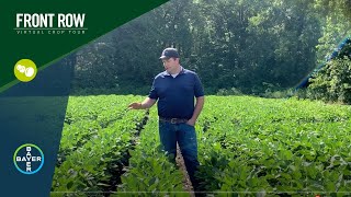 The Front Row: Measure and Manage Glyphosate Resistant Waterhemp with XtendFlex® Soybeans