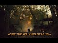 ASMR THE WALKING DEAD  Sound | Fire | Nature | Trees | Singbirds