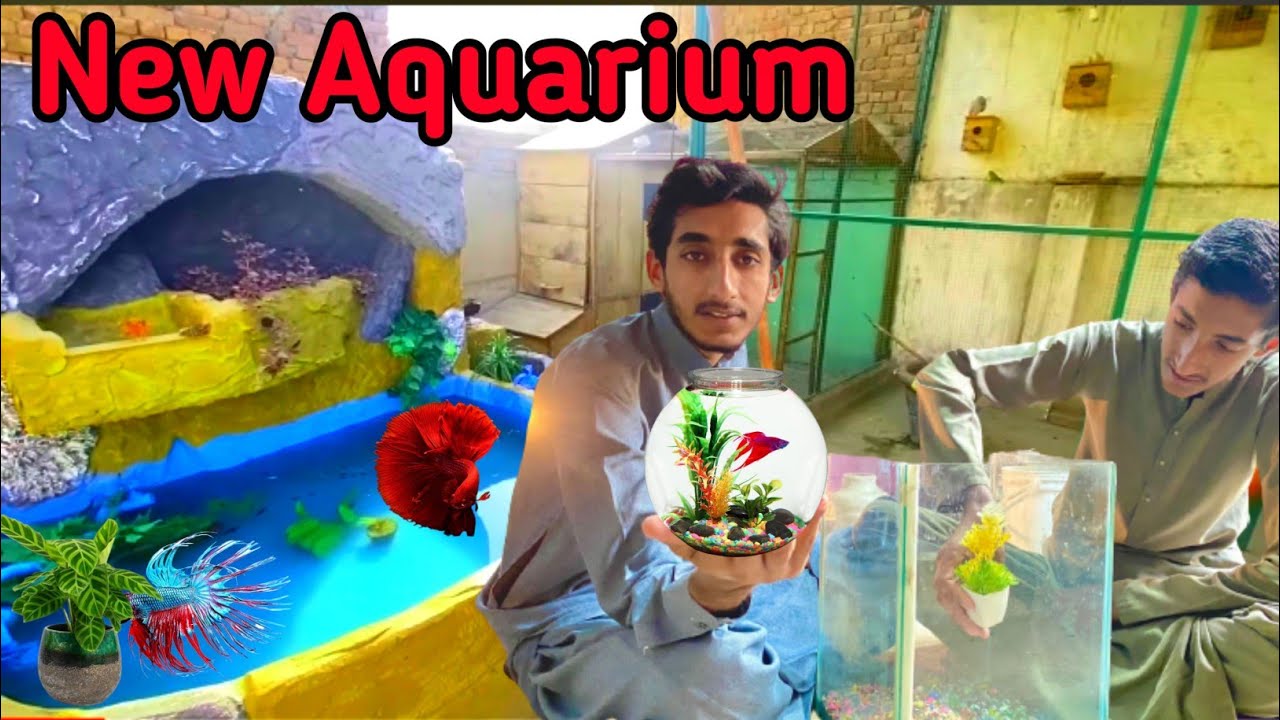 Talha Fish FISH aquarium lay aya mai 🐟🐠| shehr main dihat | Inzi or Ibrahim ...