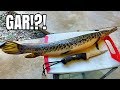 Catch and Cook GAR?! Very Suprising!