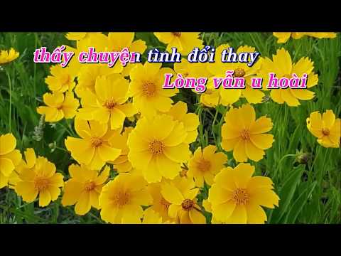 XIN TRA LAI THOI GIAN - KARAOKE SONG CA