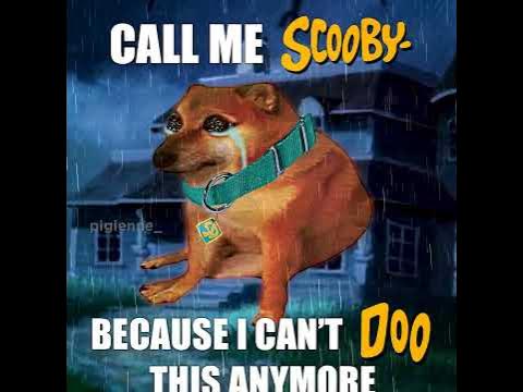Call me Scooby, 'cause I can't Doo this anymore. #scoobydoo #meme #doge ...