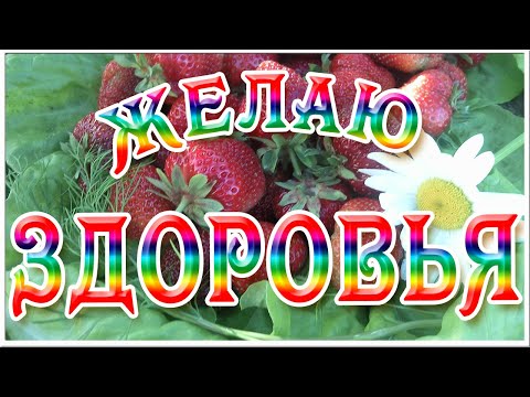Здоровья Вам. Видео открытка с пожеланием здоровья. Берегите себя