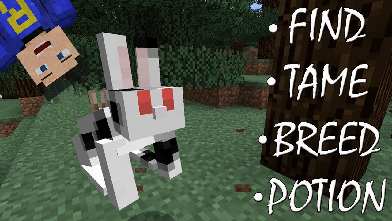 How to tame and breed Rabbits in Minecraft 1.8 - 1.8.1! - YouTube