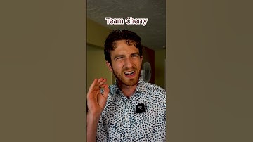 Team Cherry Is The Best Dev Studio #shorts