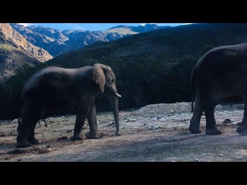 Nomadlozi - Ka Letsheng (Pantsu The Tourists Meets Couza)