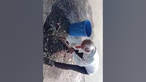 Pachora bus stand swachhat Abhiman kaftan Ganesh dhondu pawar