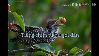 Tiếng chim tu hú tháng 8 2020