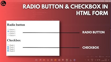 HTML Form - Radio Buttons & Checkboxes | codeayan