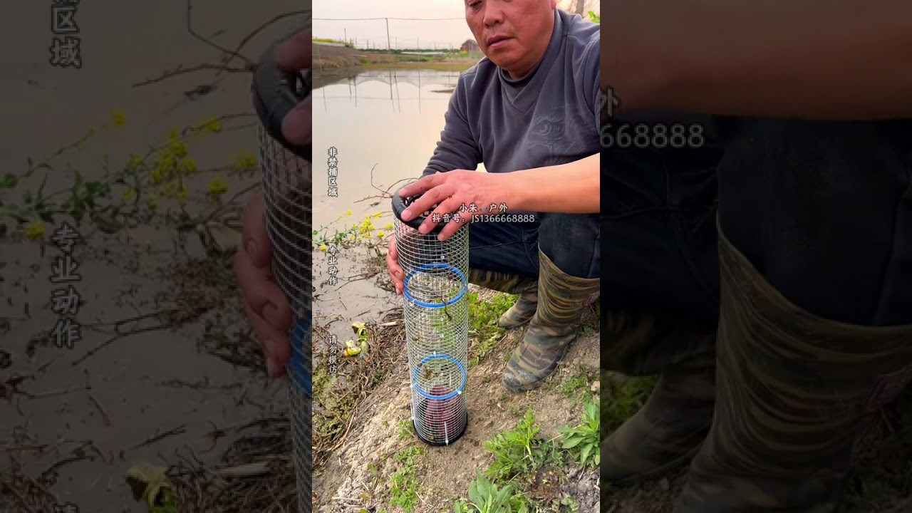 Expert Outdoor Fishing Tips: Catch More Fish & Shrimp