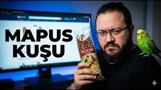 Jahrein'den Kuş Alışverişi Çılgınlığı! | Hapishaneden Gelen Maviş'in İnanılmaz Hikayesi