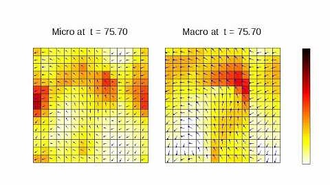 Vicsek particle dynamics versus Vicsek Hydrodynamics
