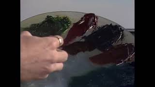 Steve Ross - S17E09 Bob Ross   Lake View Season 17 Episode 9