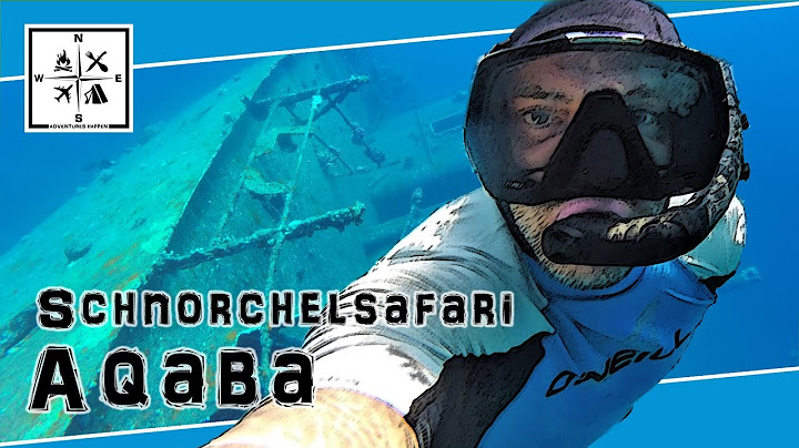 Schnorcheln in Aqaba - Schiffswrack in 9m Tiefe | #AdventuresHappen