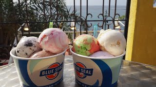 沖縄でアイスの代名詞【ブルーシールアイスクリーム】激安の日に６種食べた！美味で海がきれい！沖縄・美浜
