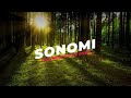 Sonomi Voice Demo