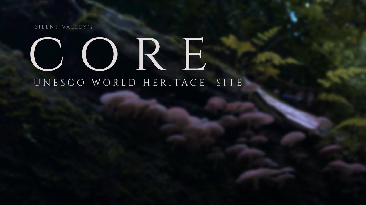CORE | Silent Valley National Park| UNESCO World Heritage Site | Cinematic Video | Sound Design