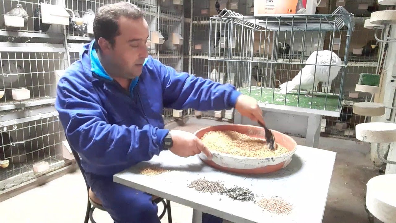 las vitaminas  en la comida