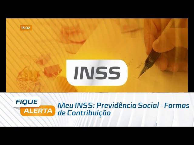 Meu INSS: Previdência Social - Formas de Contribuição