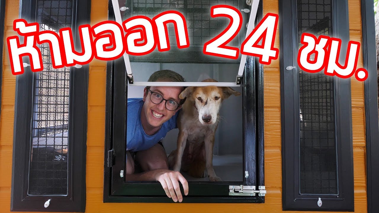 24 ชม. ในบ้านหมาสุดหรู!!!!