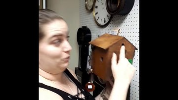 The Proper Take-down And Set-up For A Cuckoo Clock