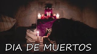 COMO HACER UN ALTAR PARA UN PERRO | DIA DE MUERTOS 💀🕯️ by BC Kenai 531 views 3 years ago 9 minutes, 12 seconds