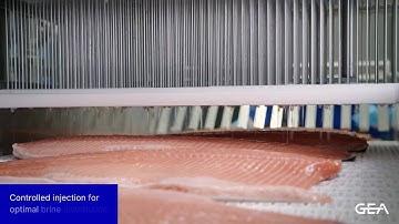 GEA MultiJector 2mm for fish