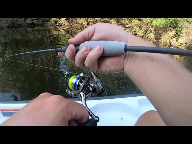 Falcon BuCoo SR Rod Review (Demonstration) 