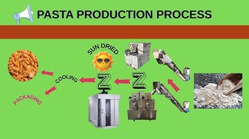 Pasta Production Line  Easy Pasta making process | Italian Pasta making with machine #productionline