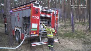 Pożar Lasu Stalowa Wola 16.04.2020R.