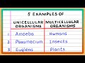 Unicellular Versus Multicellular Organisms Explained