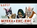 МУККА и КИС-КИС смотрят КАВЕРЫ на свои песни || !!МОХ СНЯЛ МАСКУ!!