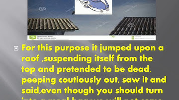 Digital Storytelling (PowerPoint) Project 3