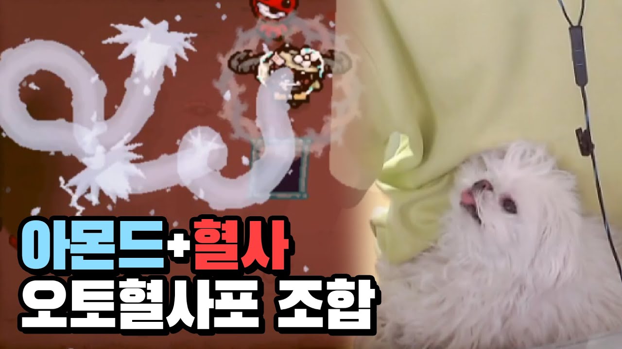  【아이작】아몬드+혈사포가 조합되면 생기는 일 :: 아이작 리펜턴스(Isaac Repentance) - YouTube Bildidee 
