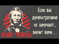 Вневременные цитаты Генри Дэвида Торо, которые изменят ваше мировоззрение. Словно бальзам для души..