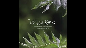 سورة فاطر احمد النفيس - مقطع قران قصير-💕🕊