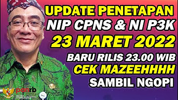 BARU RILIS - UPDATE PENETAPAN NIP CPNS DAN NI P3K