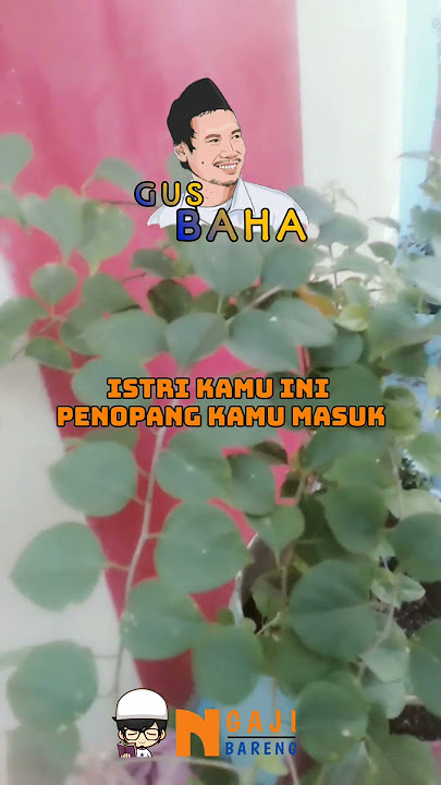 Your wife is your savior from committing adultery, Gus Baha