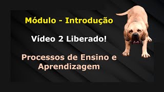 Fila Brasileiro Excepcional  Vídeo 2