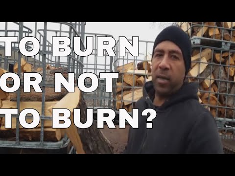 Video: Poți arde busteni de pin?