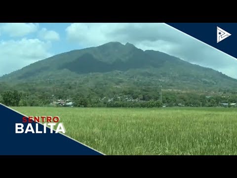 Ilang magsasaka sa Pampanga, tuloy pa rin sa trabaho